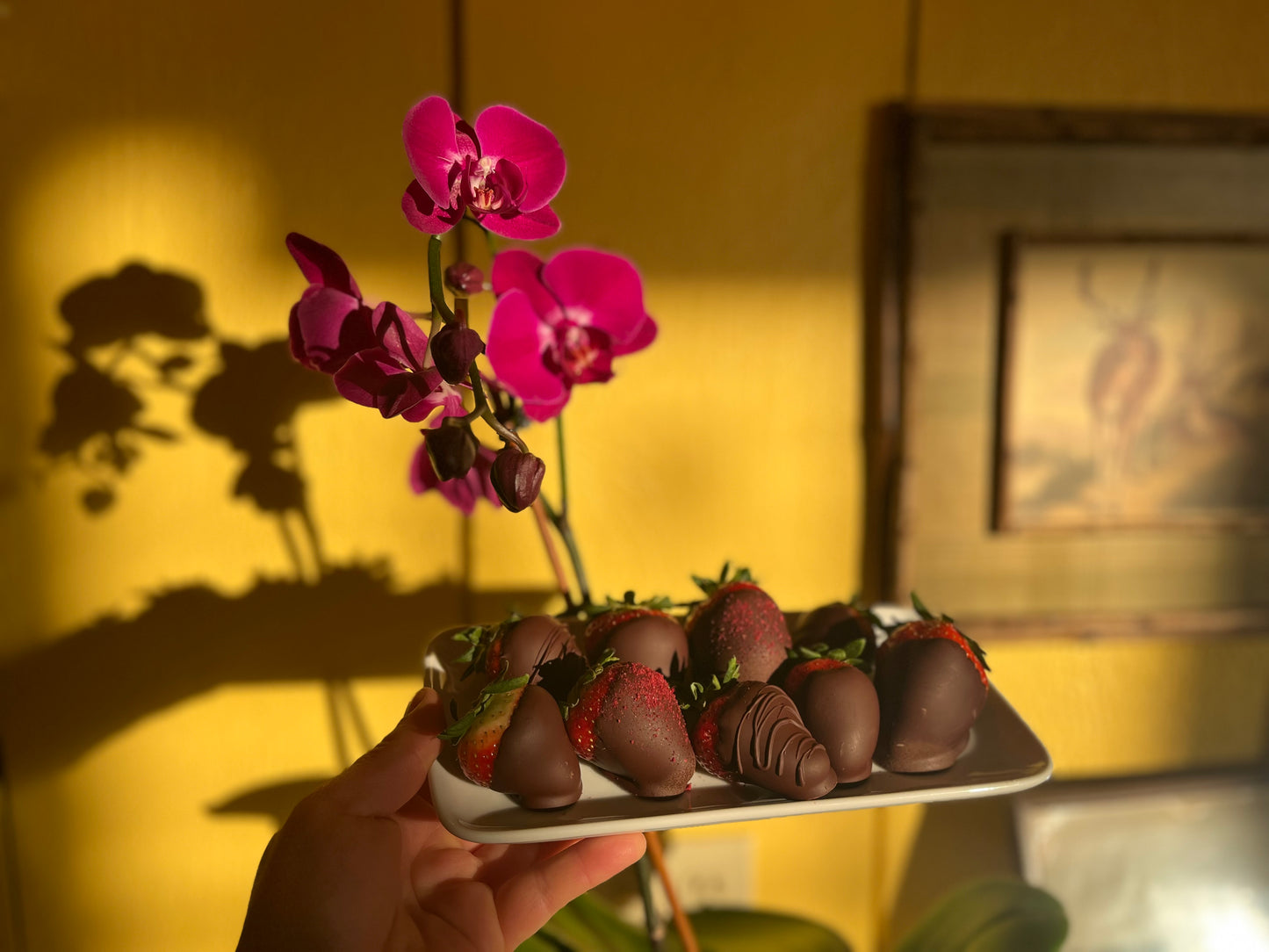 Chocolate Covered Strawberries -Local Pickup Only